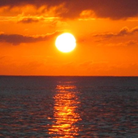 Roatan Bed & Breakfast Apartments Вест-Энд Экстерьер фото
