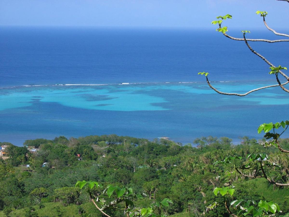 Roatan Bed & Breakfast Apartments Вест-Энд Экстерьер фото