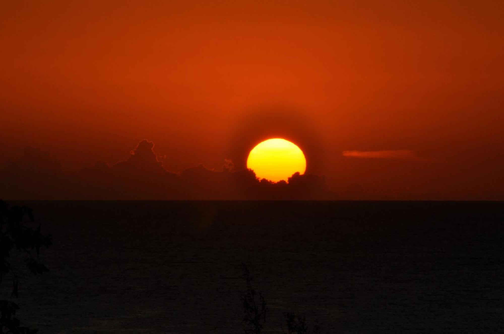 Roatan Bed & Breakfast Apartments Вест-Энд Экстерьер фото
