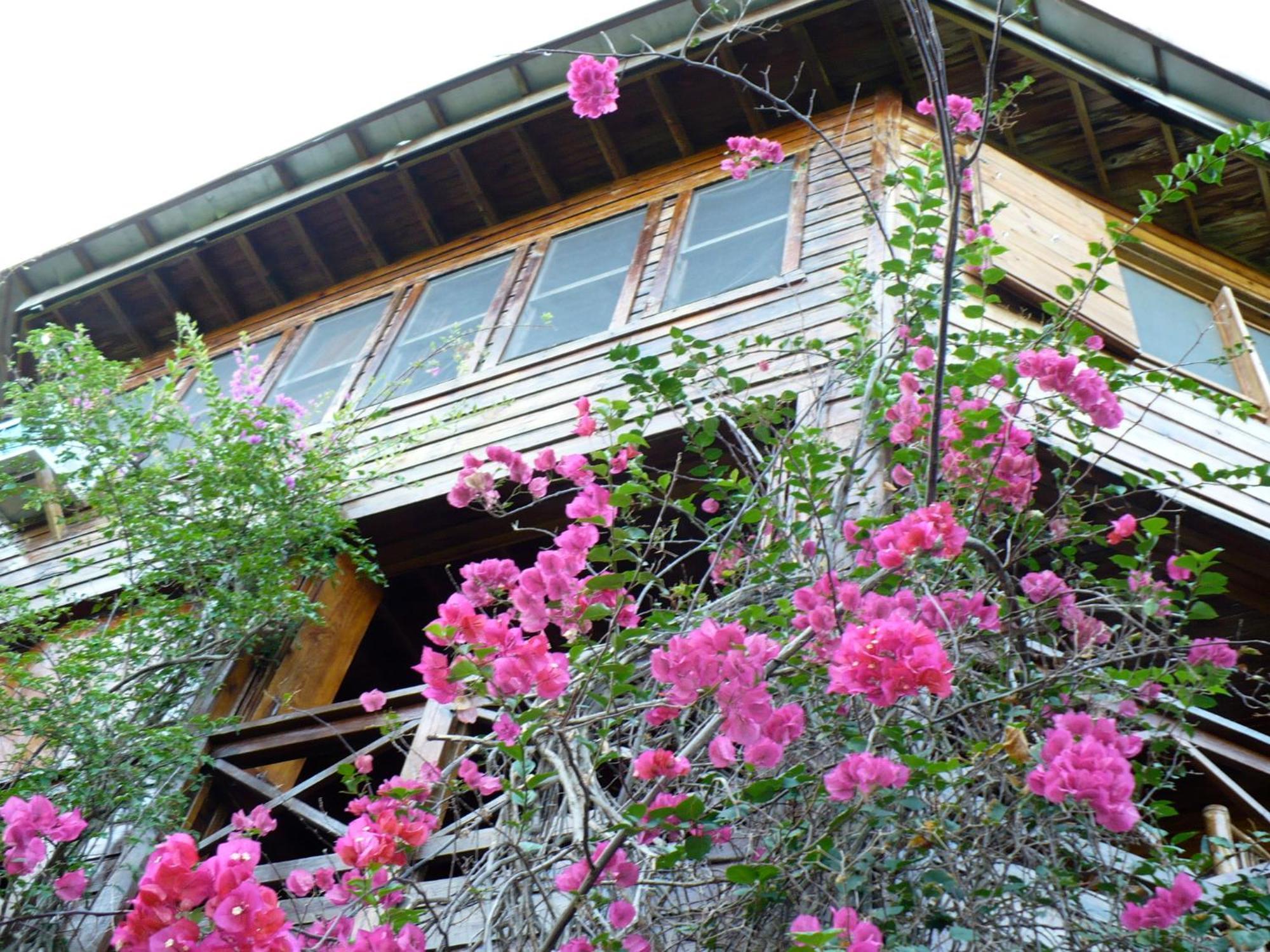 Roatan Bed & Breakfast Apartments Вест-Энд Экстерьер фото
